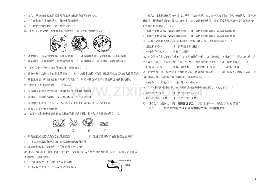 高中生物必修一第三章细胞的基本结构测试题.doc_第3页