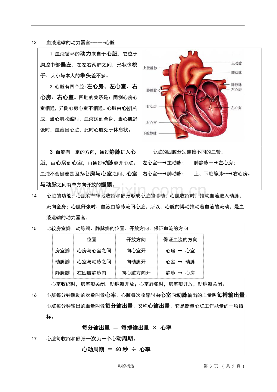 北师大版生物第09章《人体内的物质运输》知识点总结.doc_第3页