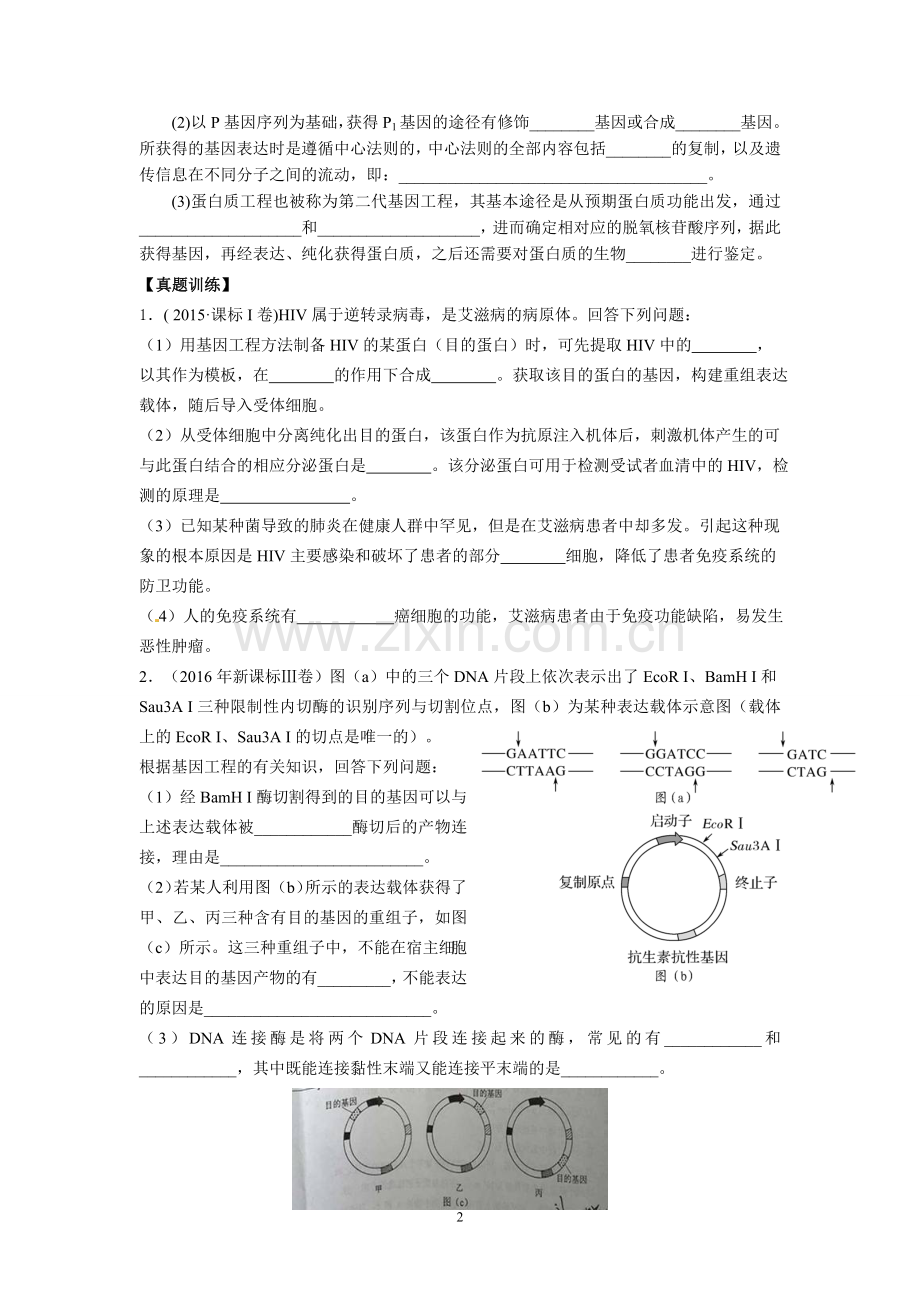 高考二轮复习专题3基因工程(原卷版).doc_第2页