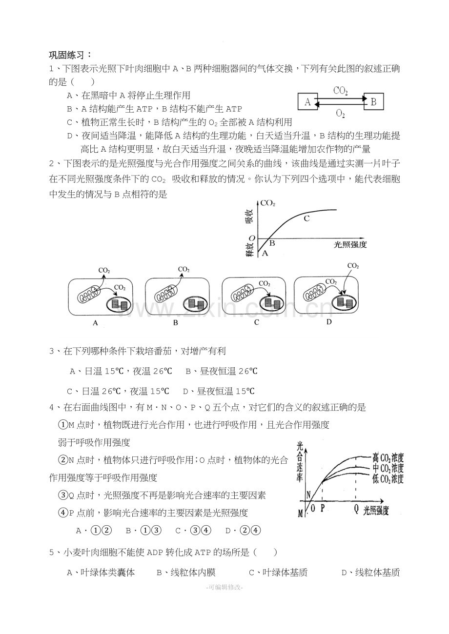 光合作用和呼吸作用的区别和联系.doc_第3页