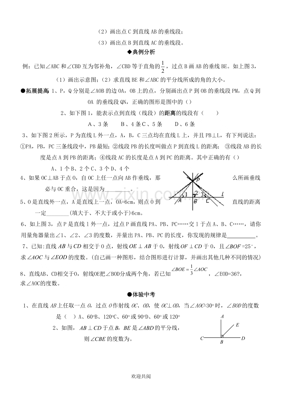 七年级数学下册垂线练习题.doc_第3页