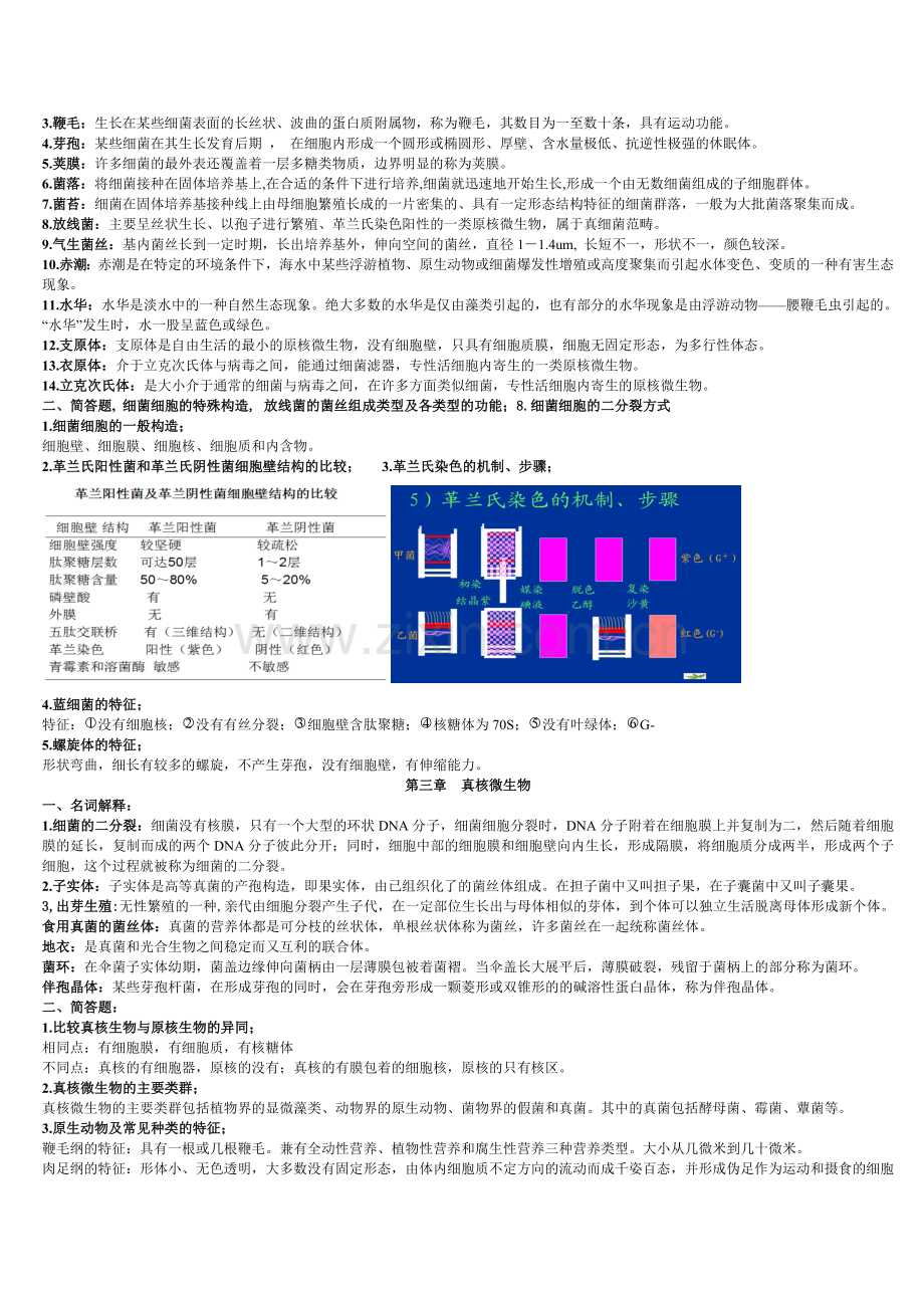 环境工程微生物学复习资料.doc_第2页