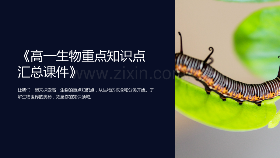 《高一生物重点知识点汇总课件》.ppt_第1页