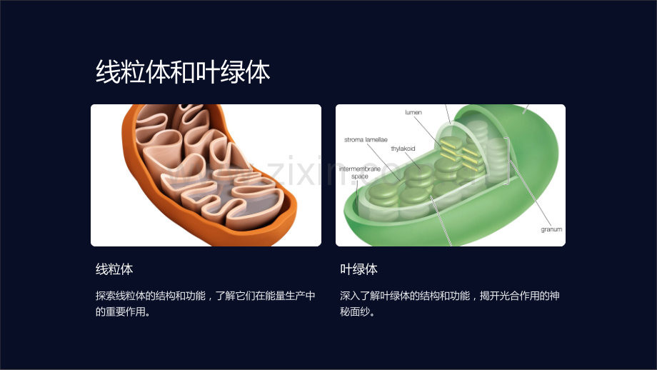 《高一生物重点知识点汇总课件》.ppt_第2页