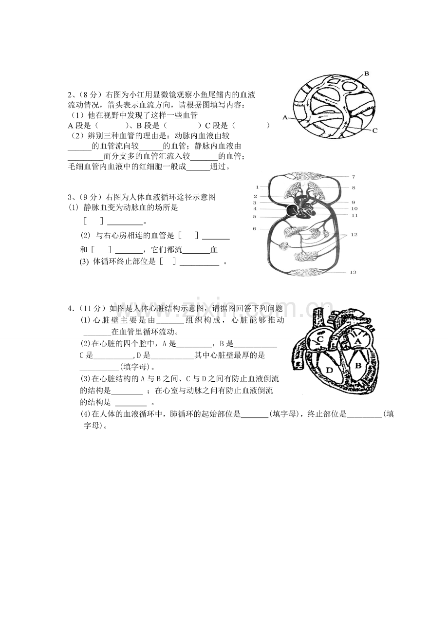 七年级生物下册第四章单元检测题及答案.doc_第3页