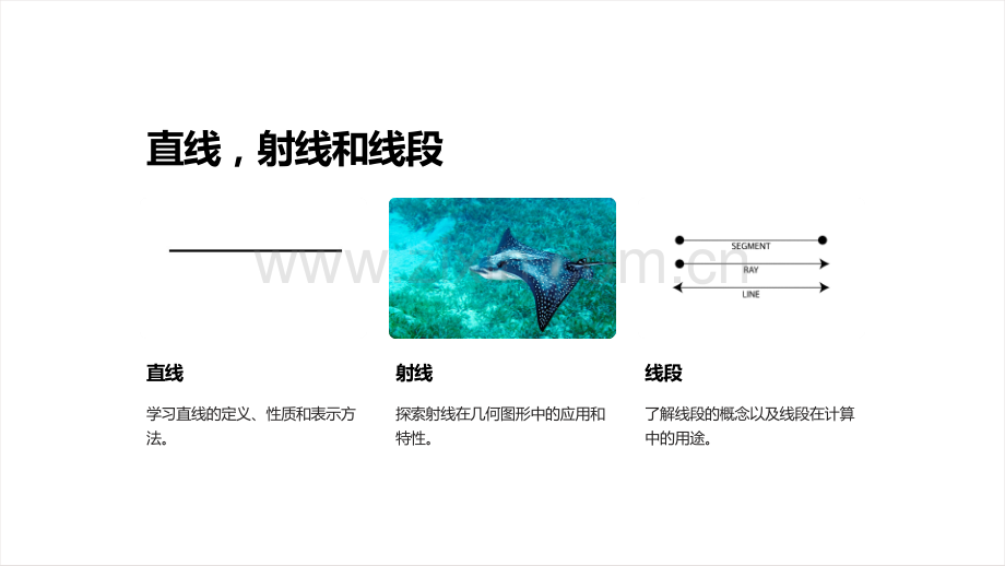 《初中数学必修一课件——平面与空间几何图形》.ppt_第3页