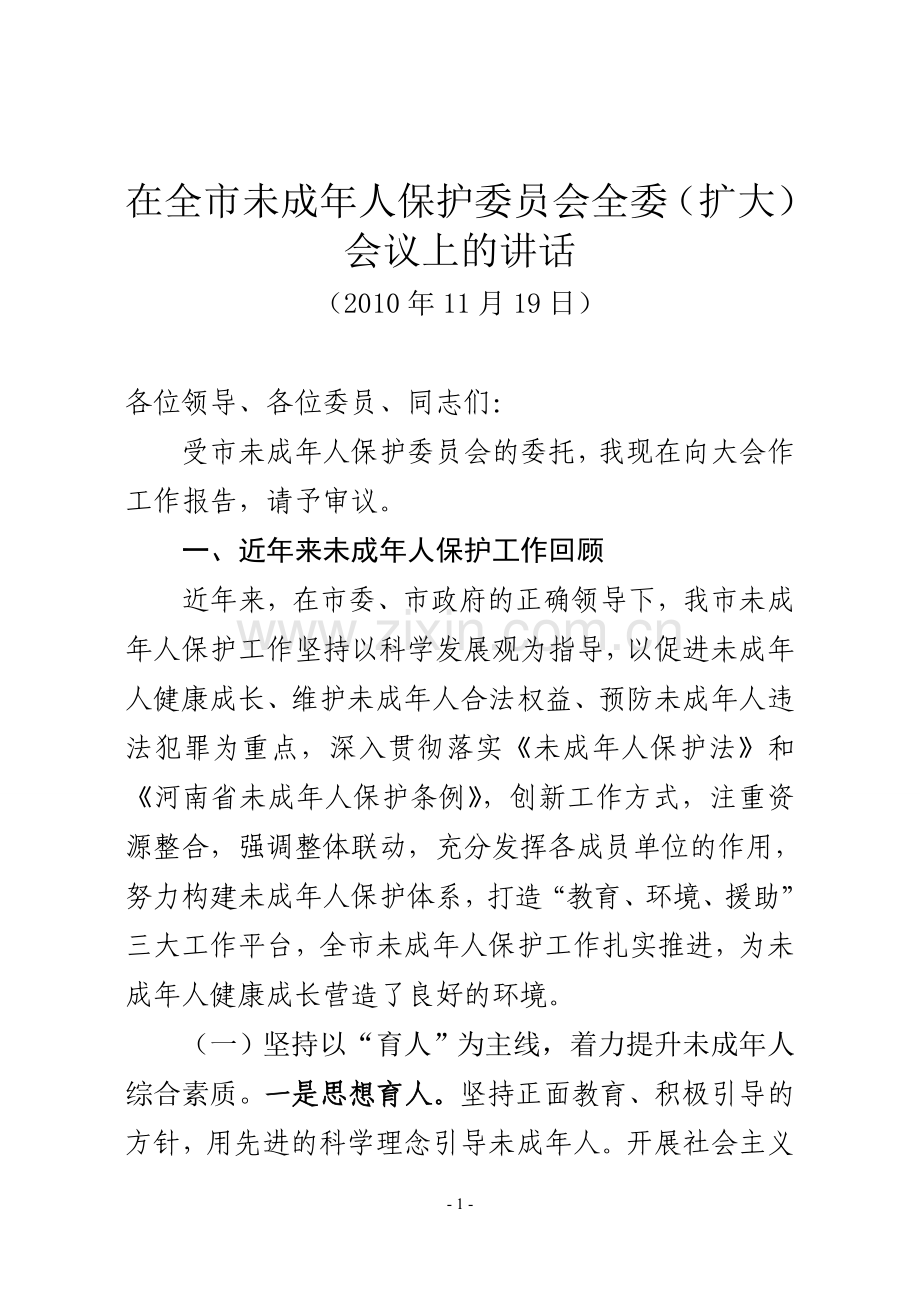 在全市未成年人保护委员会全体会议上的讲话.doc_第1页