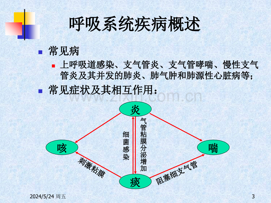 呼吸系统用药.ppt_第3页