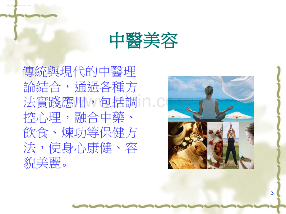 中医美容面面观.ppt_第3页