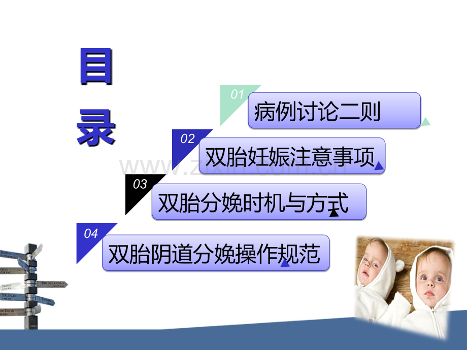 讲座双胎.ppt_第2页