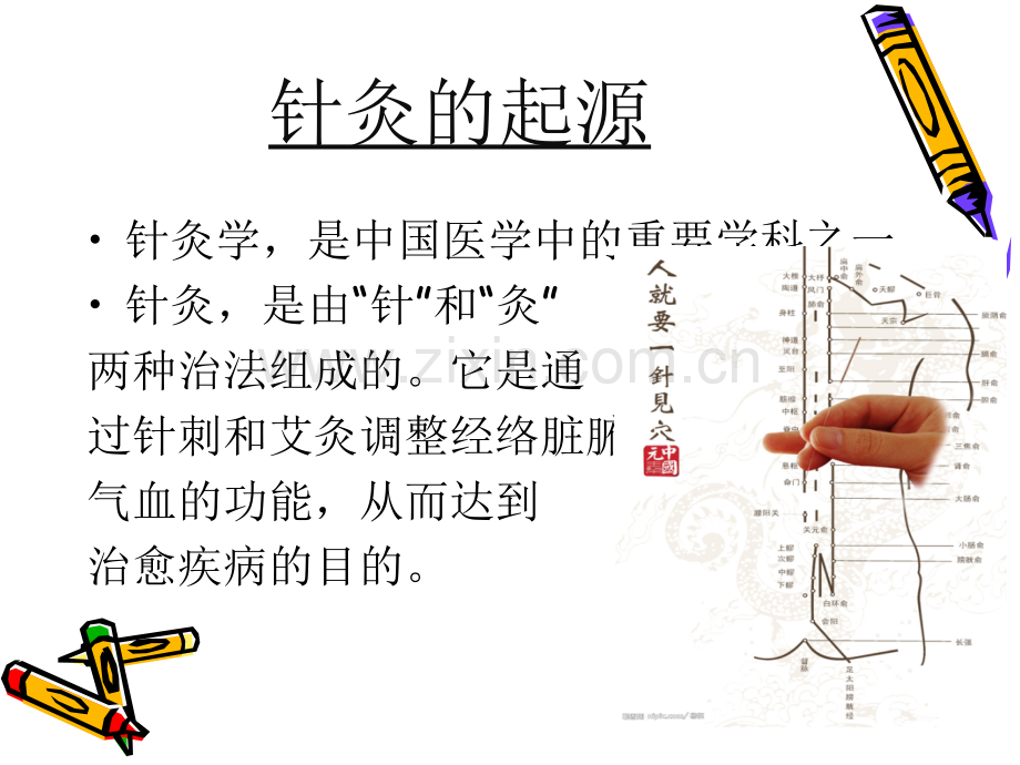 经络腧穴绪言.ppt_第3页