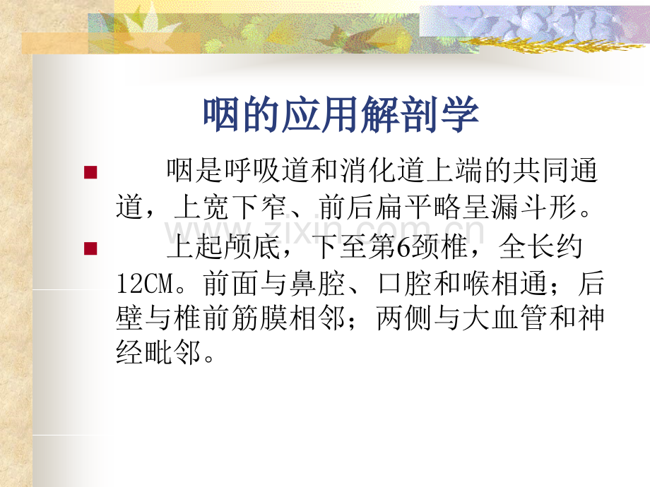 咽的应用解剖学及生理学.ppt_第2页