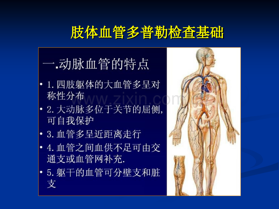 周围血管超声检查.ppt_第3页