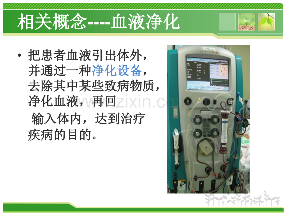 血液净化的临床应用.ppt_第2页