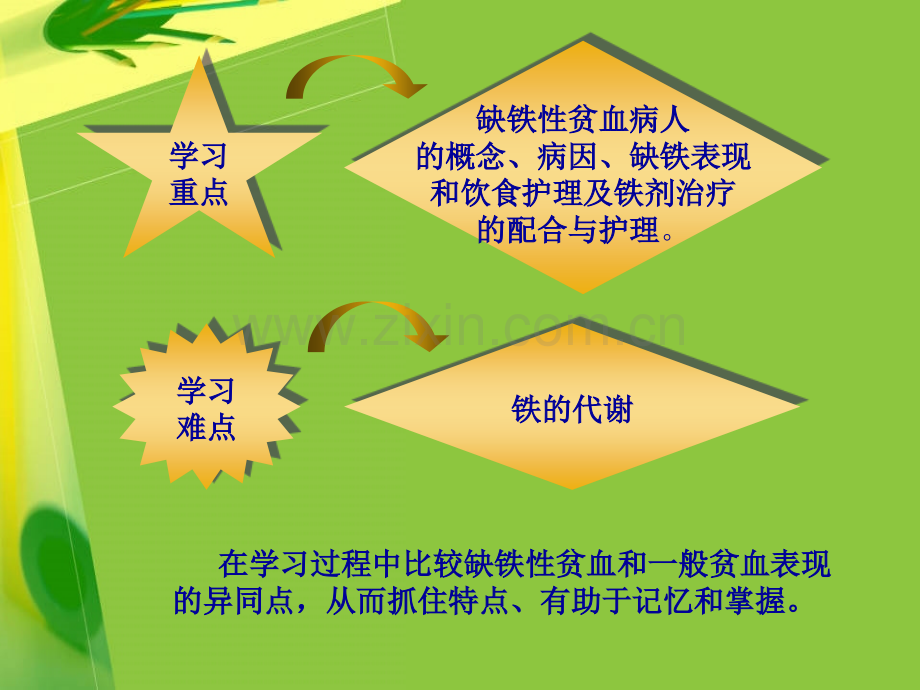 2第二节--缺铁性贫血病人的护理-PPT课件.ppt_第2页