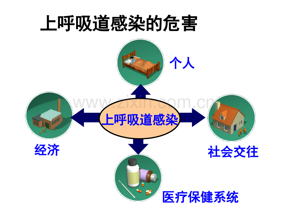 微生物与呼吸系统疾病.ppt_第3页