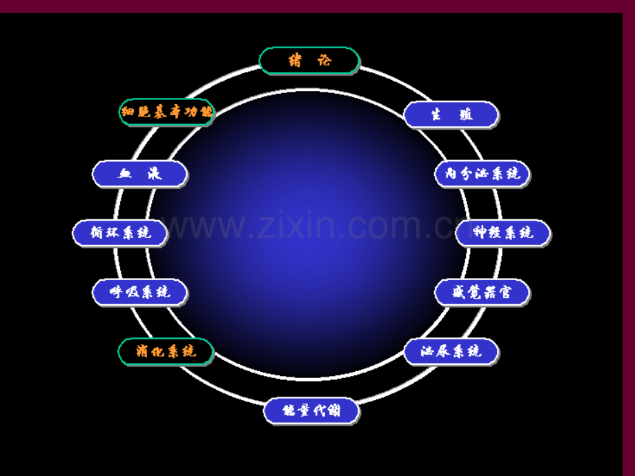 泸州医学院生理学cns.ppt_第2页