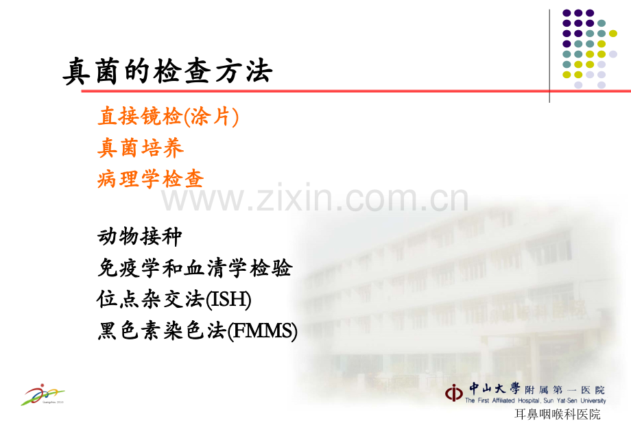 真菌性鼻窦炎PPT课件.ppt_第3页