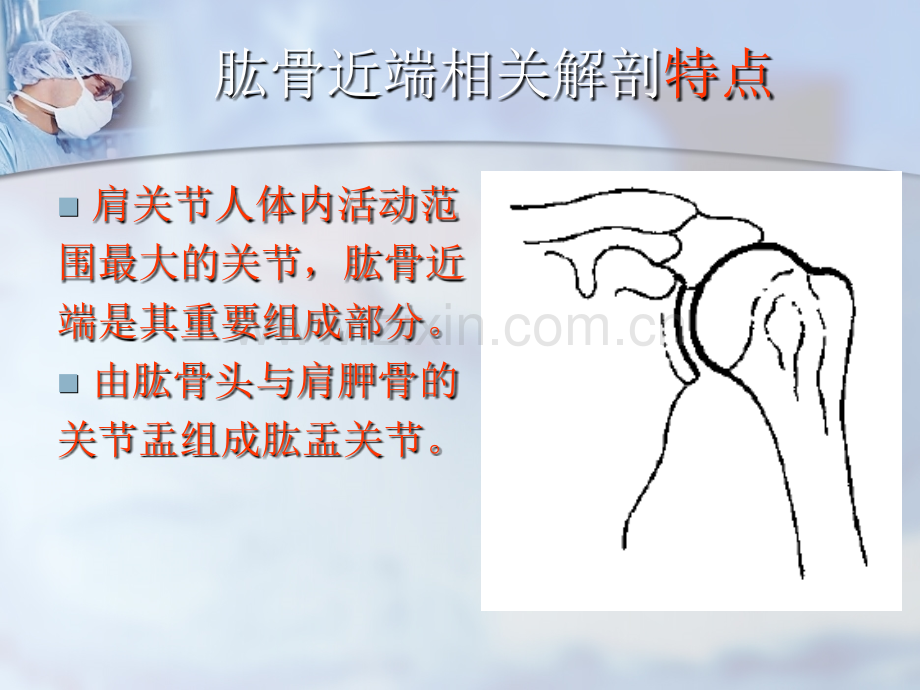 肱骨近端骨折讲稿.ppt_第2页