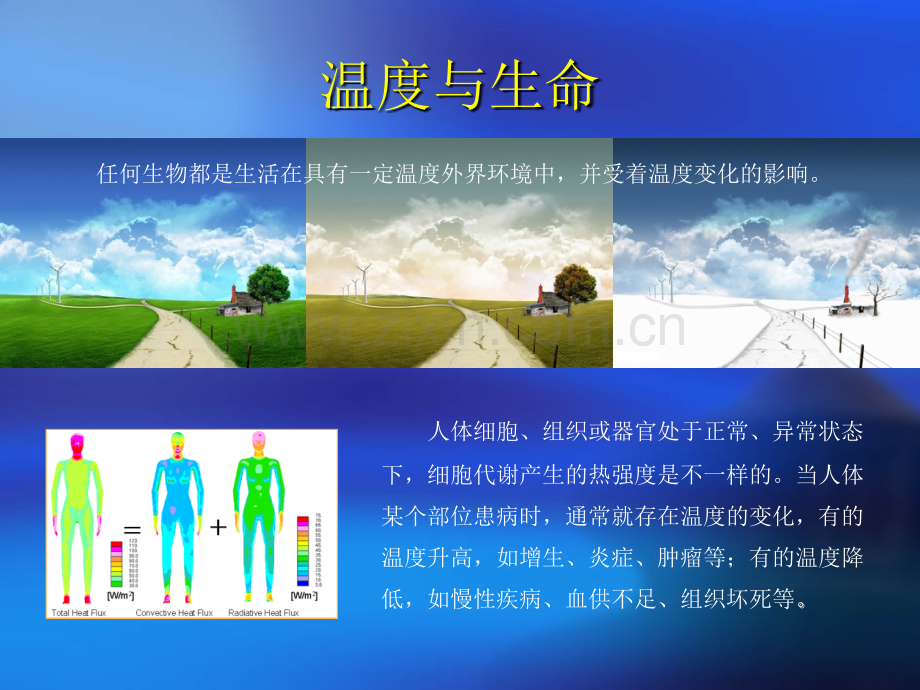 热ct培训教材.ppt_第2页