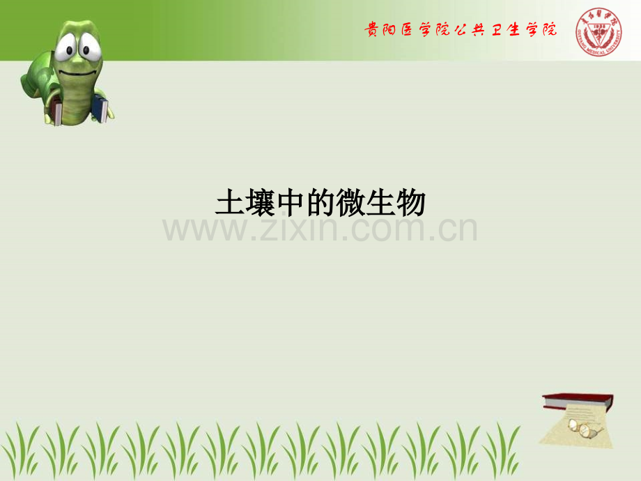 土壤中的微生物.ppt_第1页