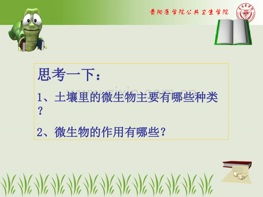 土壤中的微生物.ppt_第2页