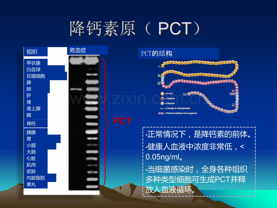 降钙素原检测及临床应用PPT课件.ppt_第3页