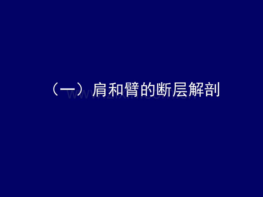 上肢的断层解剖-人体断层解剖学--19.ppt_第2页