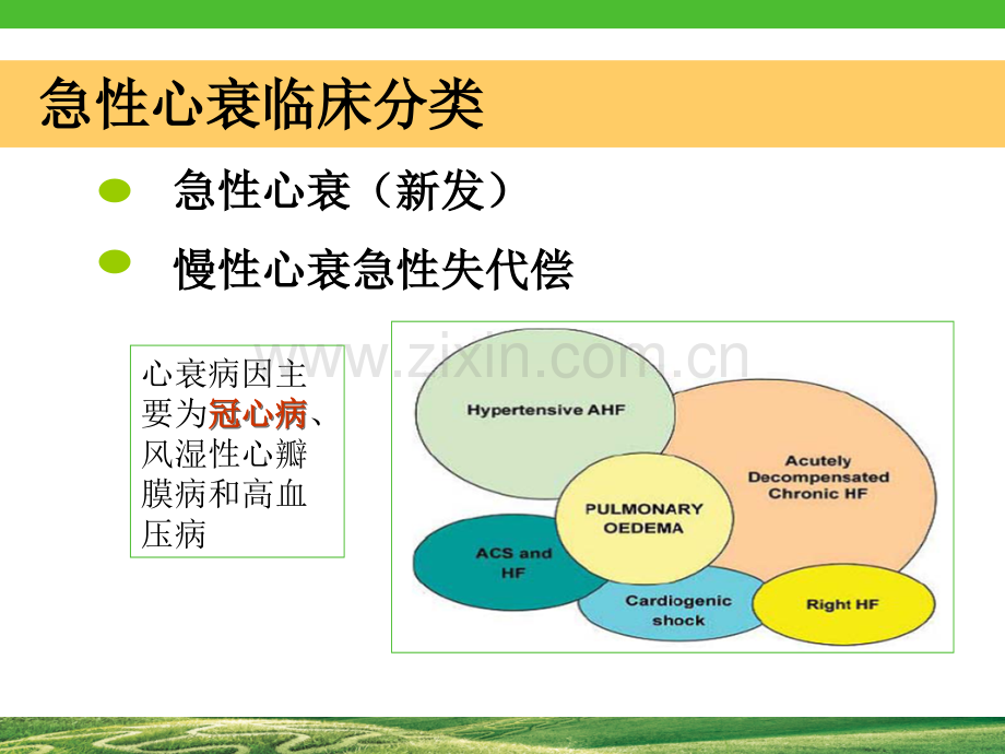 冠心病合并心衰pci.ppt_第3页