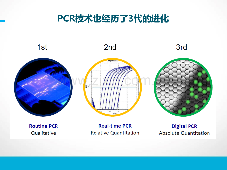 基因检测技术在肺癌精准治疗中的应用靶向捕获测序与ddpcr比较.pptx_第3页