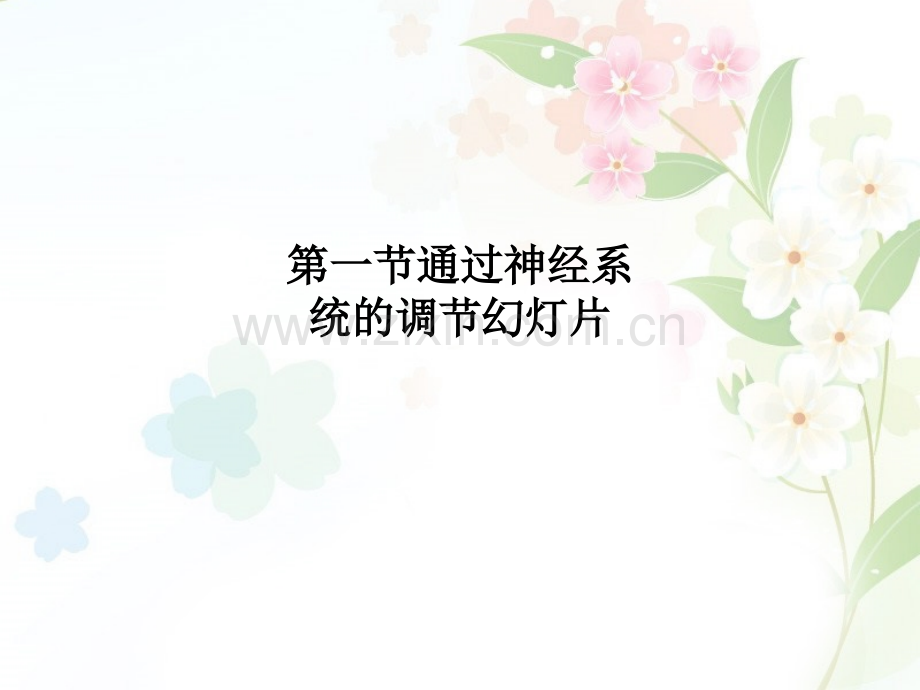 第一节通过神经系统的调节幻灯片.ppt_第1页