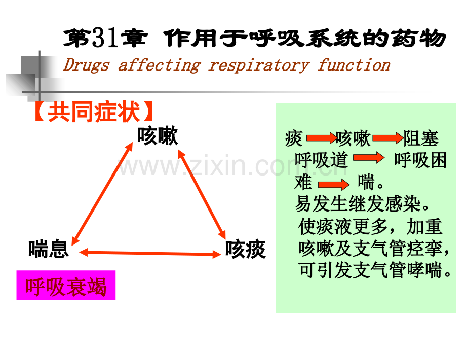 麻醉专业呼吸消化和子宫平滑肌.ppt_第2页