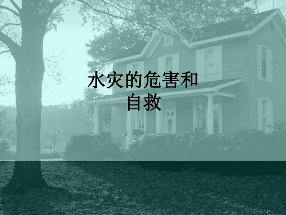 水灾的危害和自救PPT课件.ppt_第1页