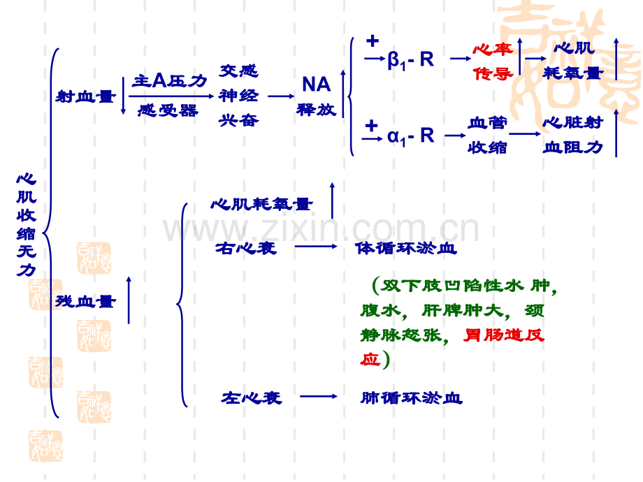 强心药-抗心绞痛药.ppt_第2页