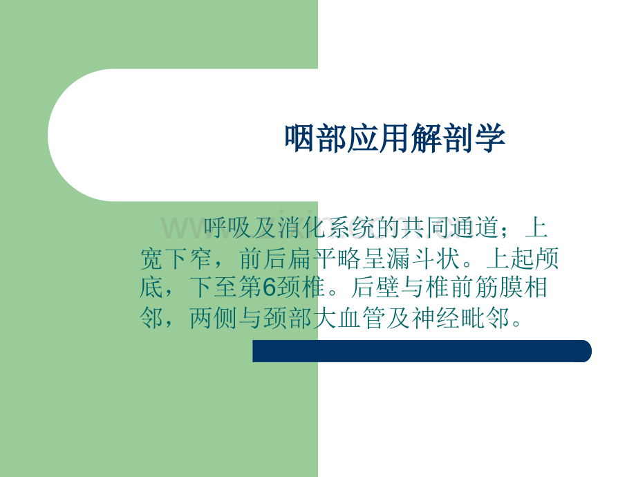 咽部应用解剖学及生理学PPT课件.ppt_第2页