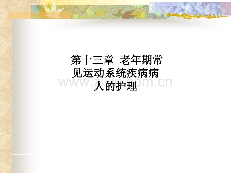 第十三章-老年期常见运动系统疾病病人的护理.ppt_第1页