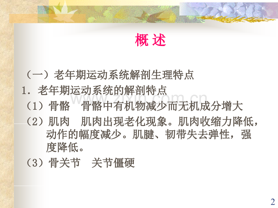 第十三章-老年期常见运动系统疾病病人的护理.ppt_第2页