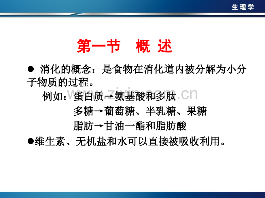 生理学第六章-消化和吸收.ppt_第2页