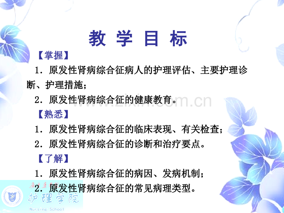 肾病综合征病人的护理PPT课件.ppt_第2页