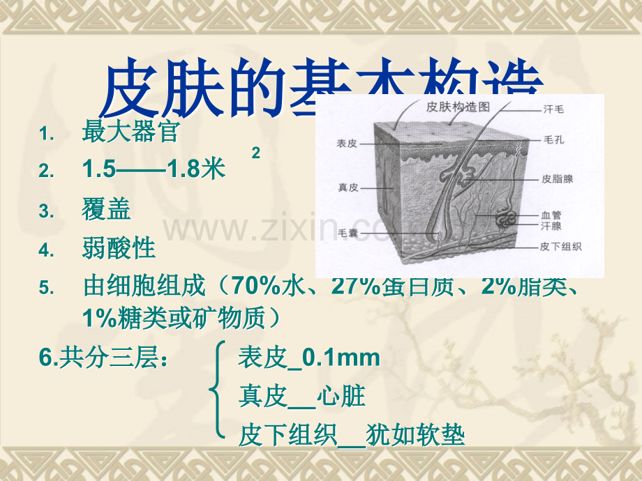 秋冬皮肤护理PPT课件.ppt_第2页