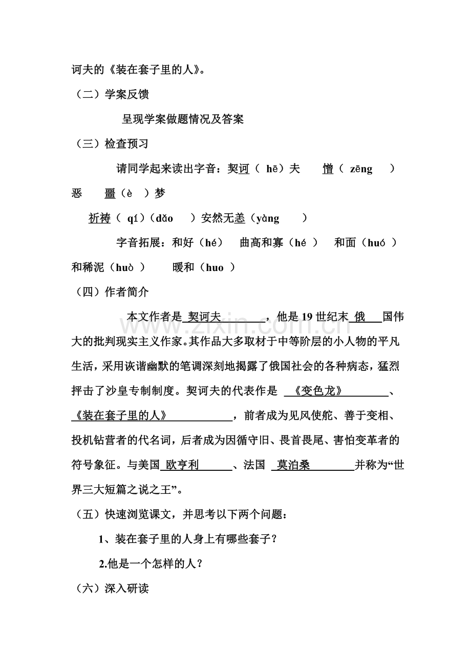 《装在套子里的人》教学设计(优秀汇报课).doc_第2页