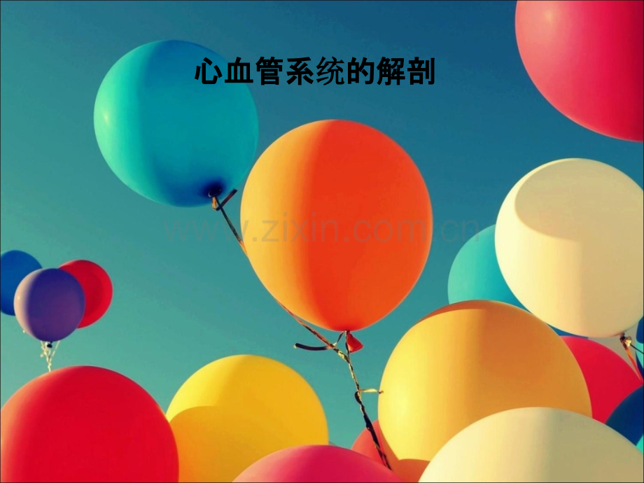 心血管系统的解剖.ppt_第1页