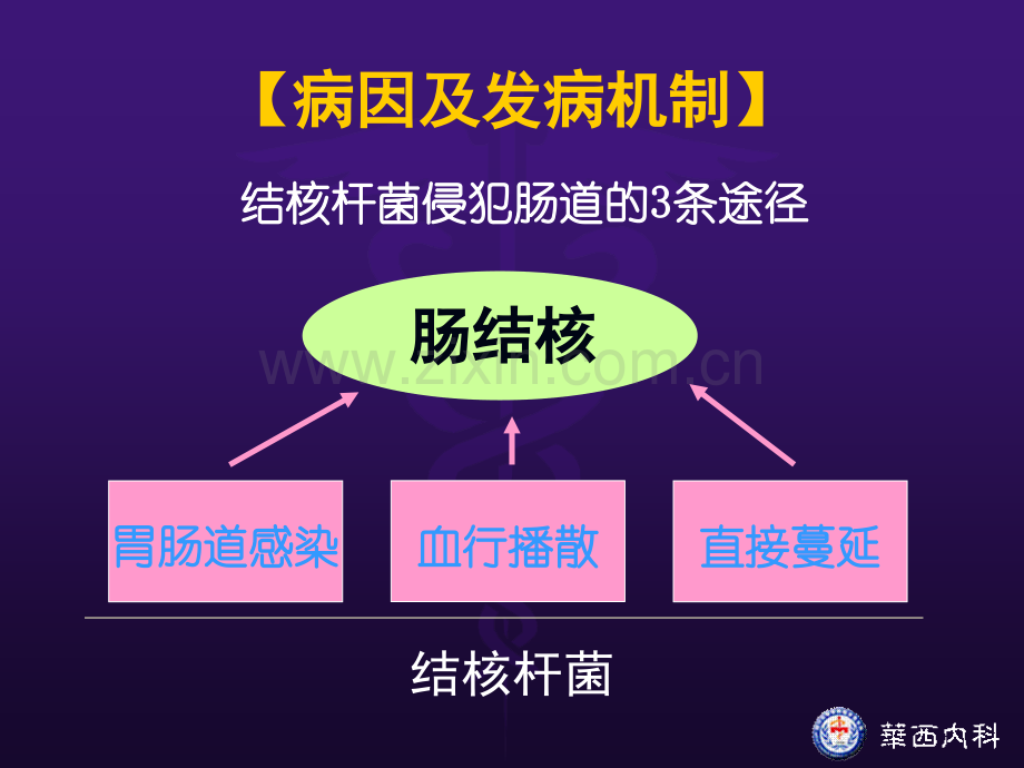 肠结核PPT课件.ppt_第3页