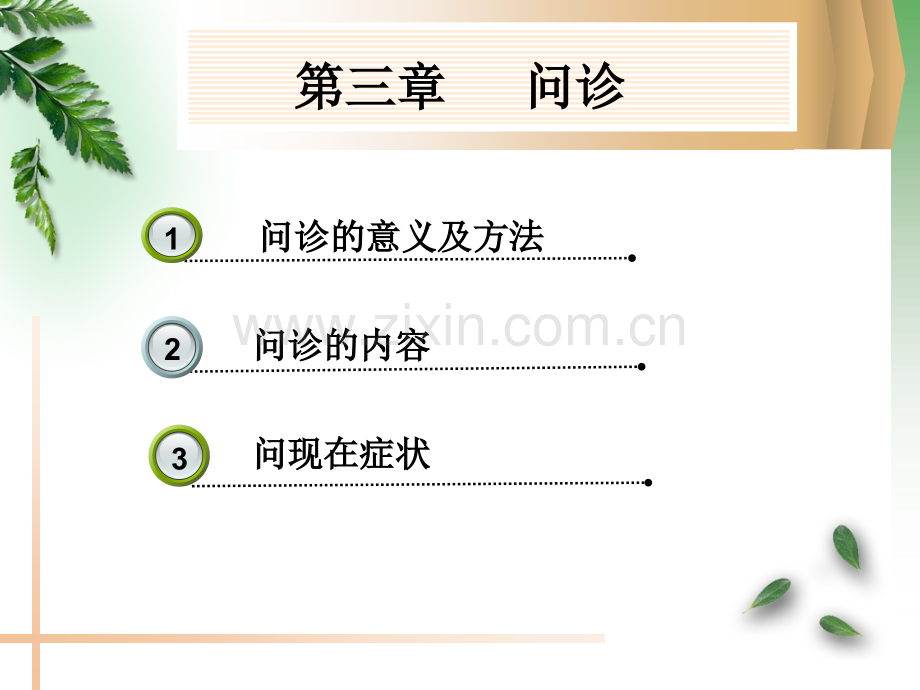 中诊问诊.ppt_第2页