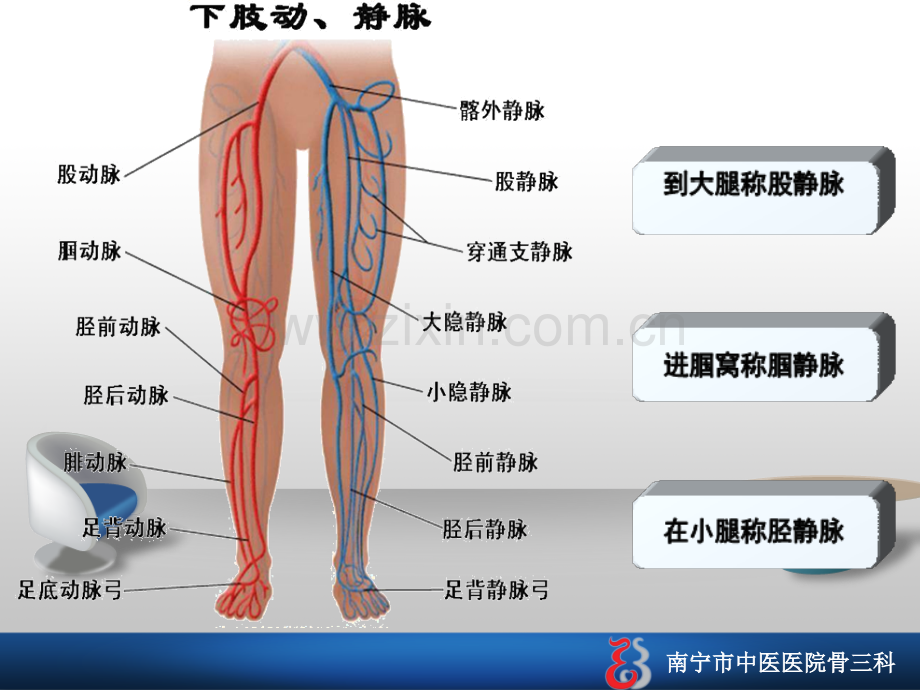 深静脉血栓的护理查房.ppt_第3页