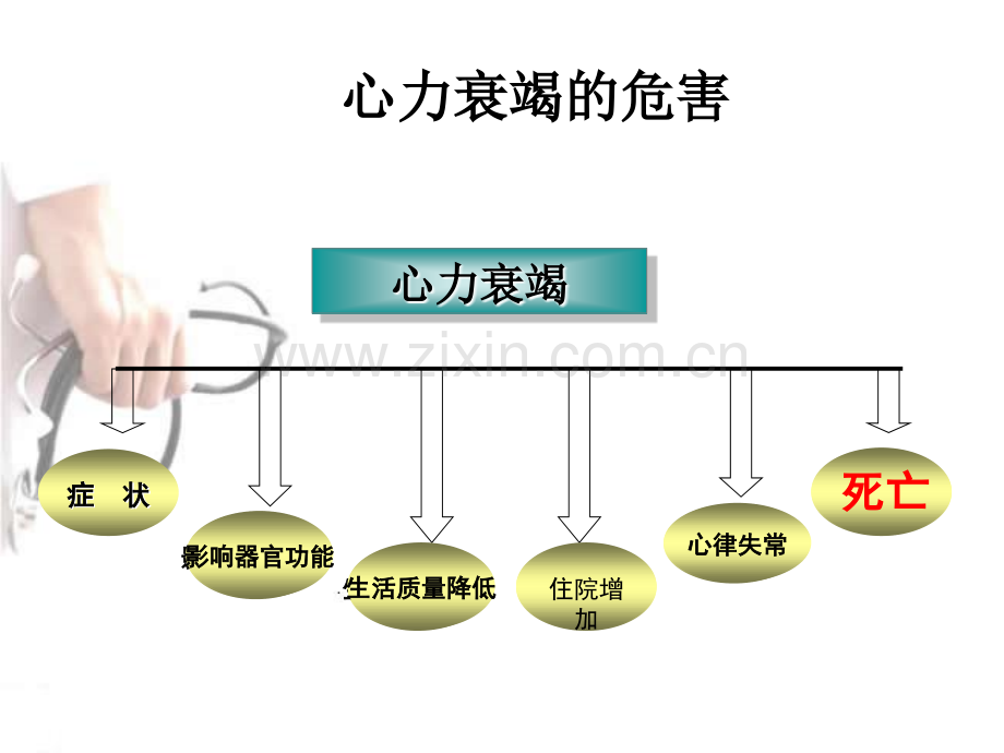 心衰病人的观察与护理.ppt_第3页