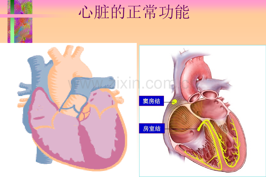 心律失常的防治PPT课件.ppt_第2页