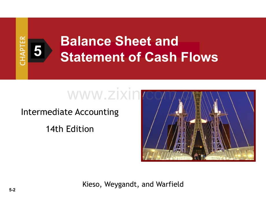 Balance-Sheet-and-Statement-of-Cash-Flows.ppt_第2页