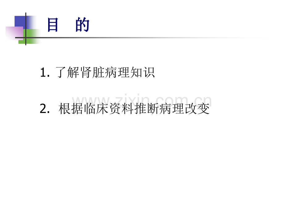 肾脏病理1.ppt_第2页