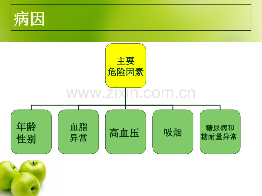 冠心病护理查房.ppt_第3页